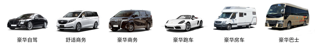 租車(chē)類型